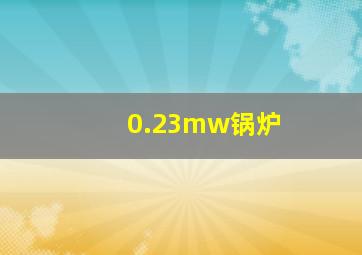 0.23mw锅炉