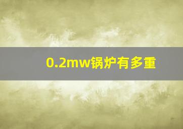 0.2mw锅炉有多重