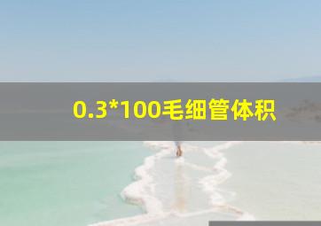 0.3*100毛细管体积