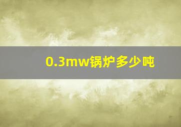 0.3mw锅炉多少吨