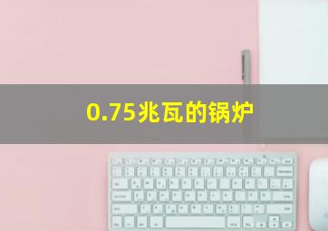 0.75兆瓦的锅炉