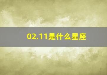 02.11是什么星座