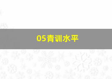 05青训水平