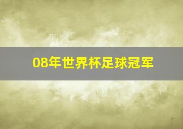 08年世界杯足球冠军