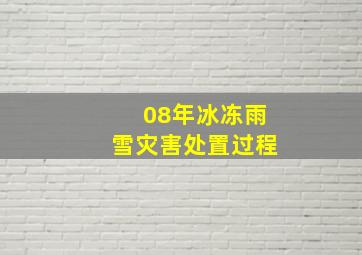 08年冰冻雨雪灾害处置过程