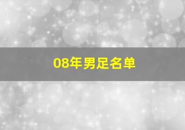 08年男足名单