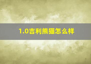 1.0吉利熊猫怎么样