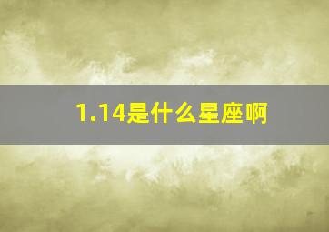 1.14是什么星座啊