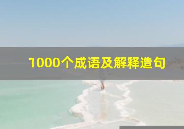 1000个成语及解释造句