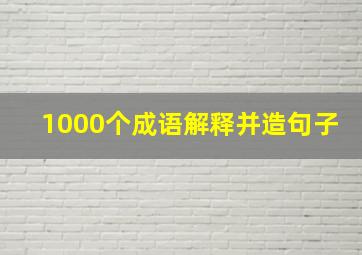 1000个成语解释并造句子