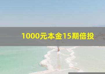 1000元本金15期倍投