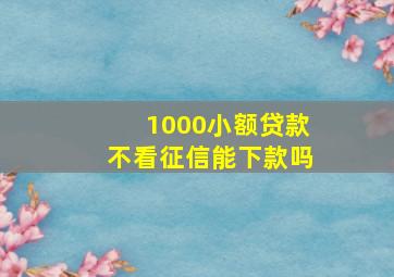 1000小额贷款不看征信能下款吗