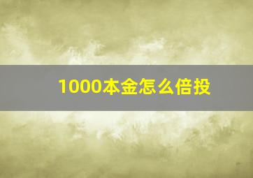 1000本金怎么倍投