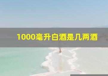 1000毫升白酒是几两酒