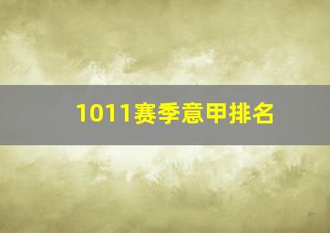 1011赛季意甲排名