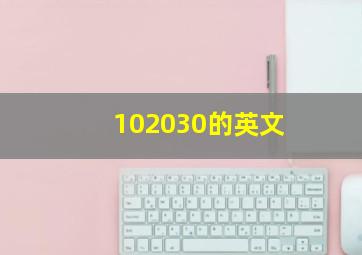 102030的英文