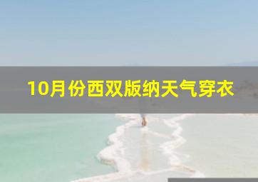 10月份西双版纳天气穿衣