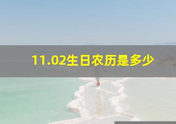 11.02生日农历是多少