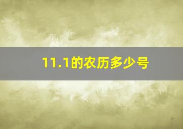 11.1的农历多少号