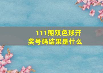 111期双色球开奖号码结果是什么