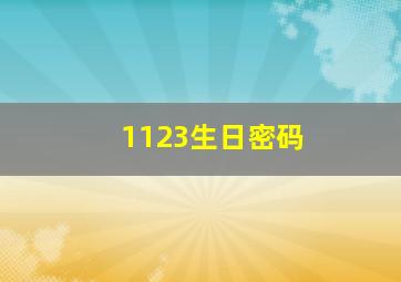 1123生日密码