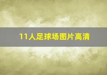 11人足球场图片高清