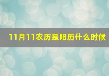 11月11农历是阳历什么时候