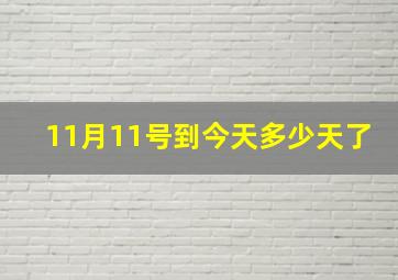 11月11号到今天多少天了