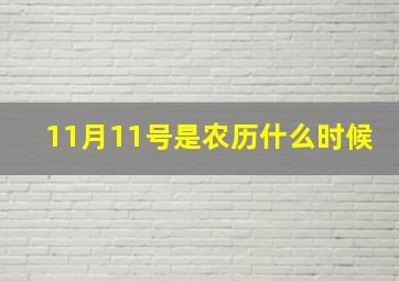 11月11号是农历什么时候