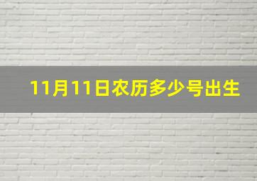 11月11日农历多少号出生