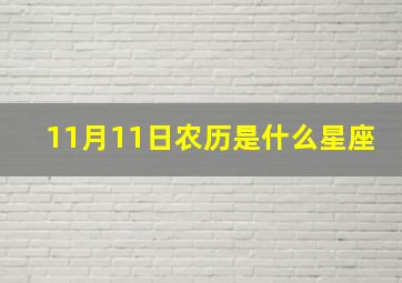 11月11日农历是什么星座