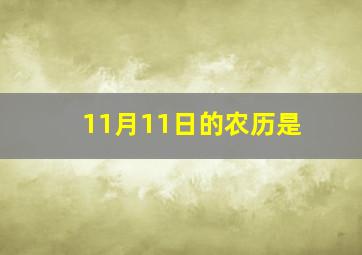 11月11日的农历是