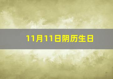 11月11日阴历生日