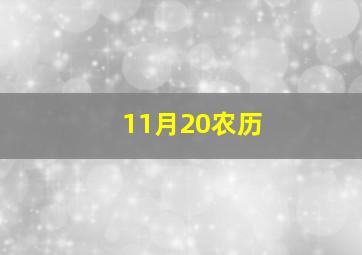 11月20农历