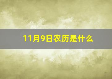 11月9日农历是什么