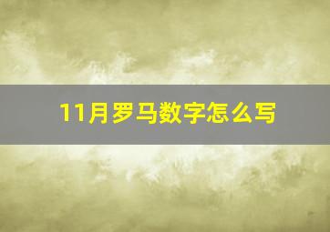 11月罗马数字怎么写