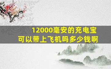 12000毫安的充电宝可以带上飞机吗多少钱啊