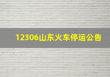 12306山东火车停运公告