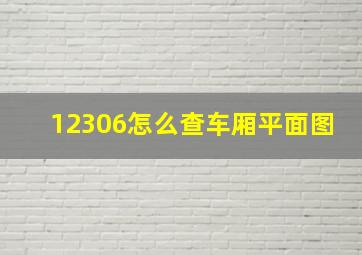 12306怎么查车厢平面图