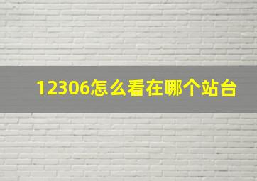 12306怎么看在哪个站台