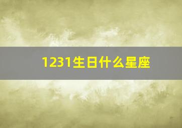 1231生日什么星座