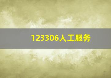 123306人工服务