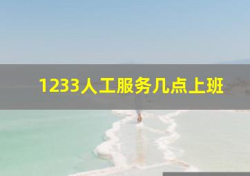 1233人工服务几点上班