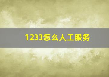 1233怎么人工服务