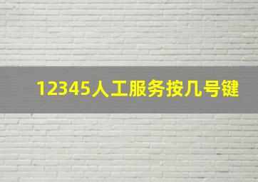 12345人工服务按几号键