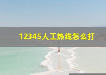 12345人工热线怎么打