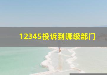 12345投诉到哪级部门