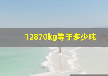 12870kg等于多少吨