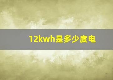 12kwh是多少度电