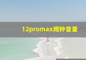 12promax闹钟音量